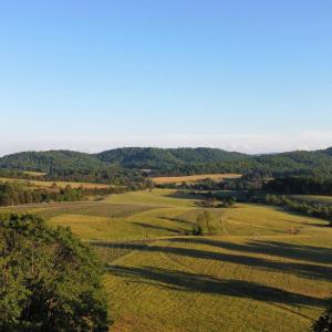 Photo #9 of CARPENTER DR, NORTH GARDEN, VA 27.3 acres