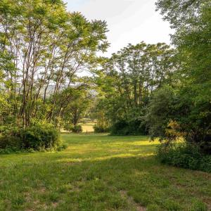 Photo #28 of CARPENTER DR, NORTH GARDEN, VA 27.3 acres