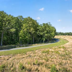 Photo #4 of Lot 1 SHORES RD, PALMYRA, VA 10.0 acres