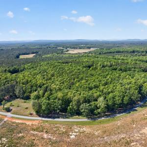 Photo #1 of Lot 1 SHORES RD, PALMYRA, VA 10.0 acres