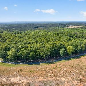 Photo #5 of Lot 1 SHORES RD, PALMYRA, VA 10.0 acres