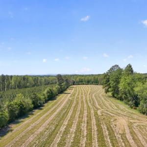 Photo #4 of Lot 5 SHORES RD, PALMYRA, VA 12.2 acres