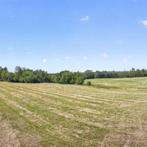 Photo #2 of Lot 5 SHORES RD, PALMYRA, VA 12.2 acres