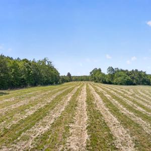 Photo #3 of Lot 5 SHORES RD, PALMYRA, VA 12.2 acres