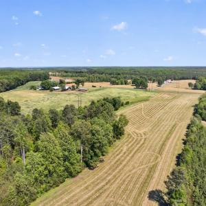 Photo #6 of Lot 5 SHORES RD, PALMYRA, VA 12.2 acres