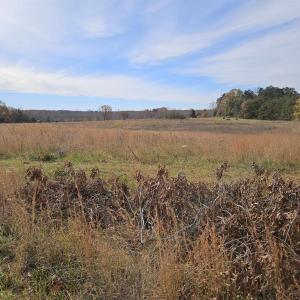 Photo #6 of 5.3 Ac JAMES ANDERSON HWY, BUCKINGHAM, VA 5.3 acres