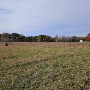 Photo #3 of 5.3 Ac JAMES ANDERSON HWY, BUCKINGHAM, VA 5.3 acres
