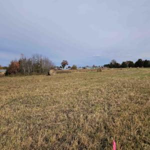 Photo #2 of 5.3 Ac JAMES ANDERSON HWY, BUCKINGHAM, VA 5.3 acres
