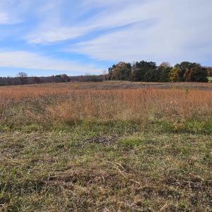 Photo #9 of 5.3 Ac JAMES ANDERSON HWY, BUCKINGHAM, VA 5.3 acres