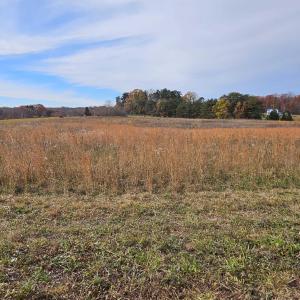 Photo #10 of 5.3 Ac JAMES ANDERSON HWY, BUCKINGHAM, VA 5.3 acres