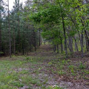 Photo #43 of BOLIVER RD, FORT VALLEY, VA 23.2 acres