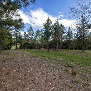 Photo #28 of BOLIVER RD, FORT VALLEY, VA 23.2 acres