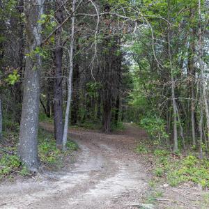 Photo #30 of BOLIVER RD, FORT VALLEY, VA 23.2 acres
