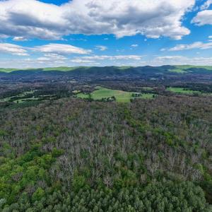 Photo #17 of BOLIVER RD, FORT VALLEY, VA 23.2 acres