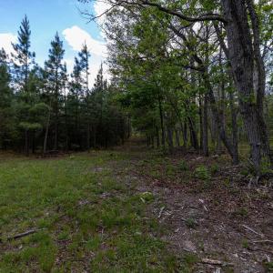 Photo #44 of BOLIVER RD, FORT VALLEY, VA 23.2 acres