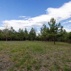 Photo #36 of BOLIVER RD, FORT VALLEY, VA 23.2 acres