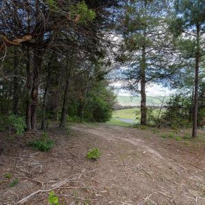 Photo #29 of BOLIVER RD, FORT VALLEY, VA 23.2 acres