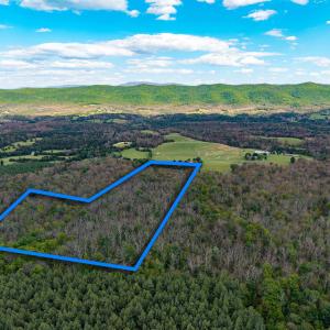 Photo #16 of BOLIVER RD, FORT VALLEY, VA 23.2 acres