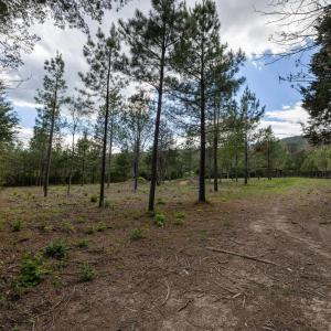 Photo #32 of BOLIVER RD, FORT VALLEY, VA 23.2 acres