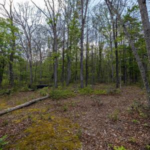 Photo #53 of BOLIVER RD, FORT VALLEY, VA 23.2 acres