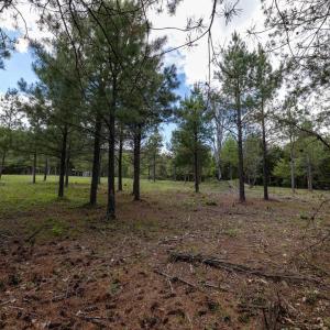 Photo #34 of BOLIVER RD, FORT VALLEY, VA 23.2 acres