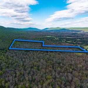 Photo #18 of BOLIVER RD, FORT VALLEY, VA 23.2 acres