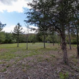 Photo #35 of BOLIVER RD, FORT VALLEY, VA 23.2 acres