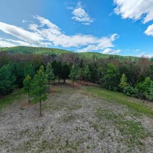 Photo #26 of BOLIVER RD, FORT VALLEY, VA 23.2 acres