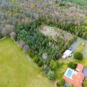 Photo #12 of BOLIVER RD, FORT VALLEY, VA 23.2 acres