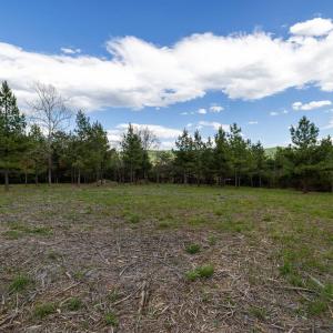 Photo #38 of BOLIVER RD, FORT VALLEY, VA 23.2 acres