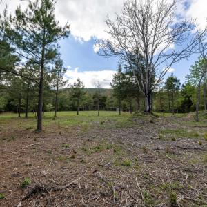 Photo #33 of BOLIVER RD, FORT VALLEY, VA 23.2 acres