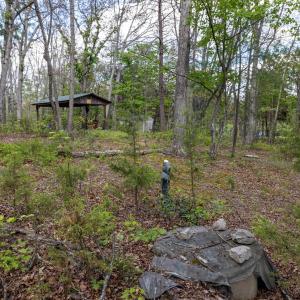 Photo #54 of BOLIVER RD, FORT VALLEY, VA 23.2 acres