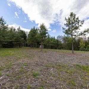 Photo #37 of BOLIVER RD, FORT VALLEY, VA 23.2 acres