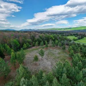 Photo #22 of BOLIVER RD, FORT VALLEY, VA 23.2 acres
