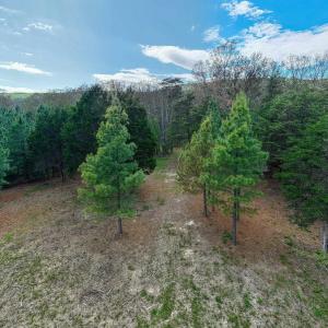 Photo #8 of BOLIVER RD, FORT VALLEY, VA 23.2 acres