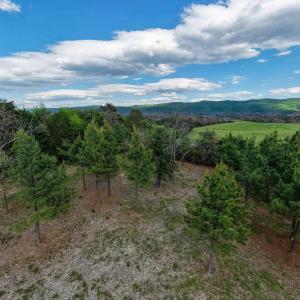 Photo #25 of BOLIVER RD, FORT VALLEY, VA 23.2 acres