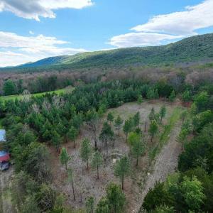 Photo #21 of BOLIVER RD, FORT VALLEY, VA 23.2 acres