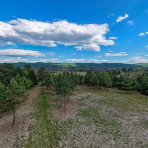 Photo #27 of BOLIVER RD, FORT VALLEY, VA 23.2 acres