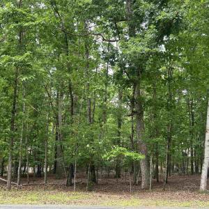Photo #1 of 25 LAGUNA RD, PALMYRA, VA 0.3 acres