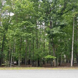 Photo #2 of 25 LAGUNA RD, PALMYRA, VA 0.3 acres
