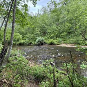 Photo #5 of HOLLYWOOD RD, APPOMATTOX, VA 84.4 acres