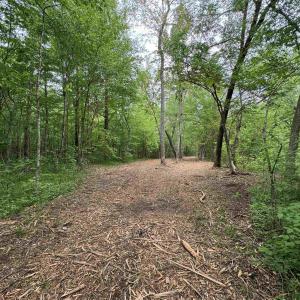 Photo #4 of HOLLYWOOD RD, APPOMATTOX, VA 84.4 acres