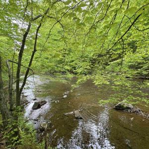 Photo #1 of HOLLYWOOD RD, APPOMATTOX, VA 84.4 acres