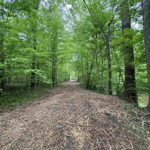 Photo #3 of HOLLYWOOD RD, APPOMATTOX, VA 84.4 acres