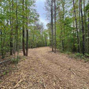 Photo #6 of HOLLYWOOD RD, APPOMATTOX, VA 84.4 acres