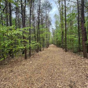 Photo #7 of HOLLYWOOD RD, APPOMATTOX, VA 84.4 acres