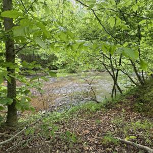 Photo #2 of HOLLYWOOD RD, APPOMATTOX, VA 84.4 acres