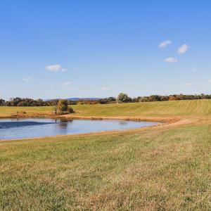 Photo #24 of 17 ROLLING RD S, SCOTTSVILLE, VA 17.4 acres