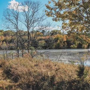 Photo #13 of 17 ROLLING RD S, SCOTTSVILLE, VA 17.4 acres