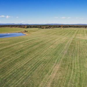 Photo #5 of 17 ROLLING RD S, SCOTTSVILLE, VA 17.4 acres